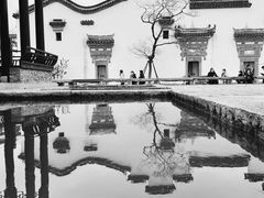 -广富林郊野公园