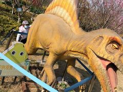 -西海岸生态观光园
