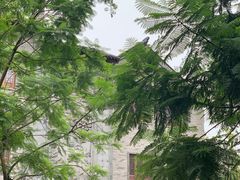 -龙潭水乡