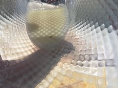-鼎高高陕西美食(龙德广场店)