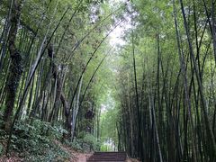 -西湖风景区十里琅珰-五云山