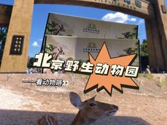 -北京野生动物园