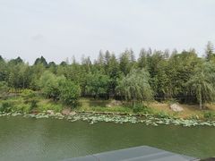 -上海怡沁园度假酒店