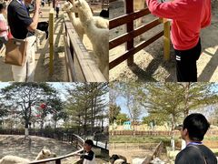 -盈香心动乐园