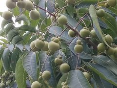 -杭州城北体育公园