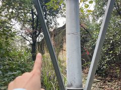 -南山植物园