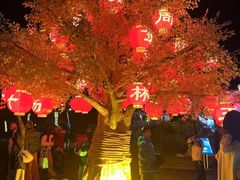 -琅岐红光湖公园