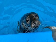 -泉城欧乐堡海洋极地世界