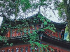 -青城山