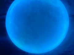 -天津梵高星空艺术馆(天河城旗舰店)