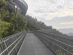 -福道