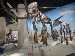 -国家自然博物馆