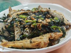 -天强农家菜馆