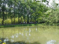 -溱湖国家湿地公园