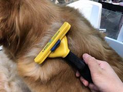 -萌兽医馆·眼科·异宠专科(三里屯店)