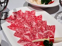 -洋房火锅(上海新天地南北里店)