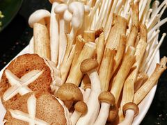 鲜杂菌-协成海鲜火锅(情侣路店)