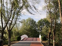 -大兴滨河森林公园