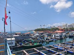 -蓝湾碧波·老字号·疍家非遗海上餐厅