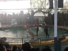 -泉州海丝野生动物世界