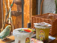 -吾叁·吉趣鸟咖(万科店)