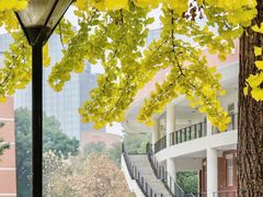-四川大学(望江校区)