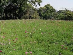 -韩湘水博园