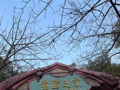 -史努比缤纷世界