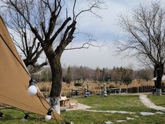 -Supine Bistro溯泮餐厅