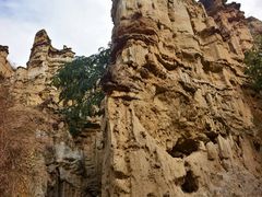 -元谋土林景区(物茂土林)