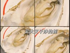 -飞尝蚝·顺德菜·鱼生(顺德总店)