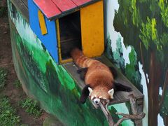 -西霞口神雕山野生动物世界