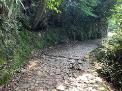 -西湖风景区十里琅珰-五云山