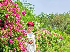 -太阳宫公园