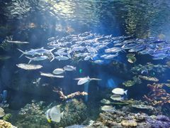 -华夏文旅海洋公园