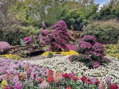 -杭州植物园