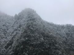 -黑色经典臭豆腐·湖南特产(潇湘文化店)