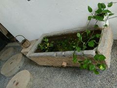 -八分园