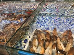 -森谷美食公园(杨行店)
