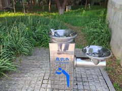 -大兴滨河森林公园