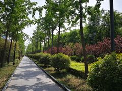 -唐城墙遗址公园