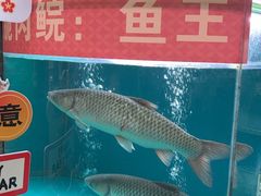 -红日饭店(裕隆三路店)