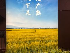 -岳阳市博物馆