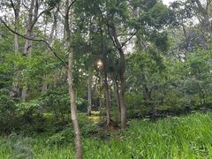 -黔灵山公园