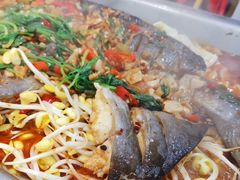 -黑猫馋纸包鱼(阳光店)