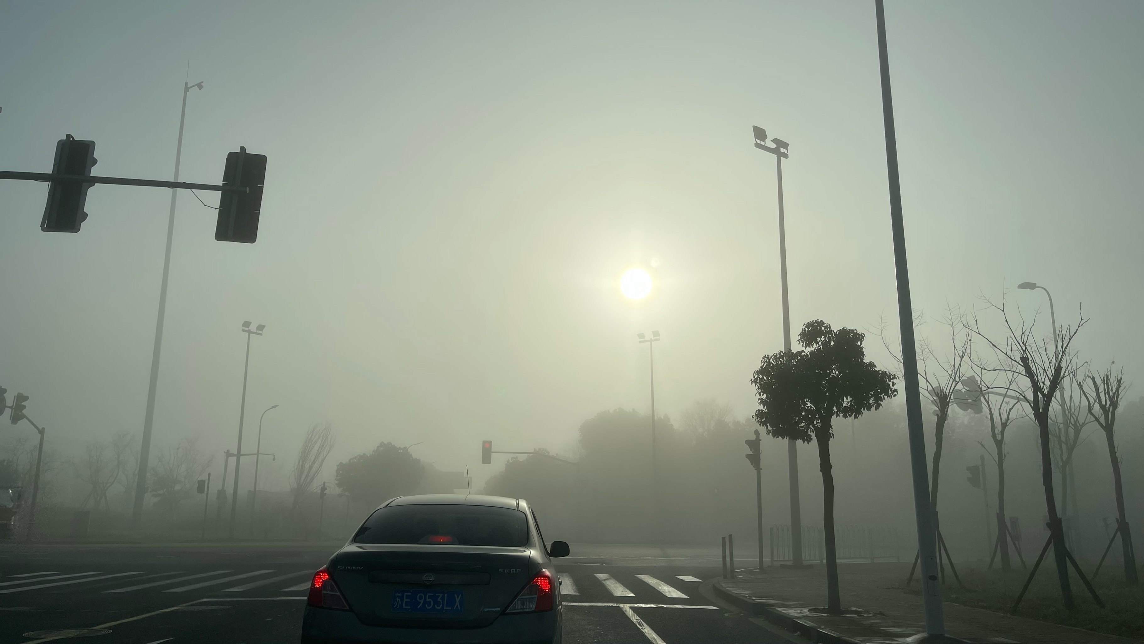 今日的春天 大雾笼罩