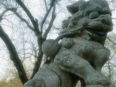 -迎泽公园