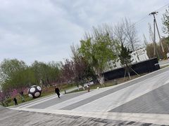 -瀛海足球主题公园