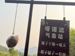 -呀诺达热带雨林