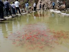 -桑干河大峡谷旅游区